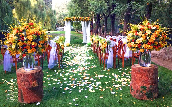 水牛石餐厅（工体店）婚宴预订