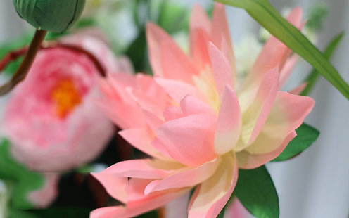 十甫假日酒店 婚宴预订