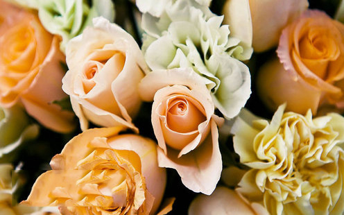 逸丰酒店婚宴预订