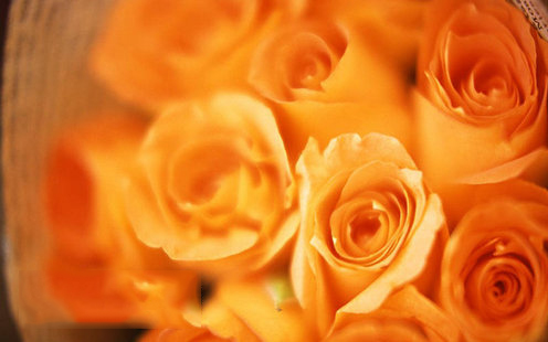 鳌鱼湾酒店婚宴预订