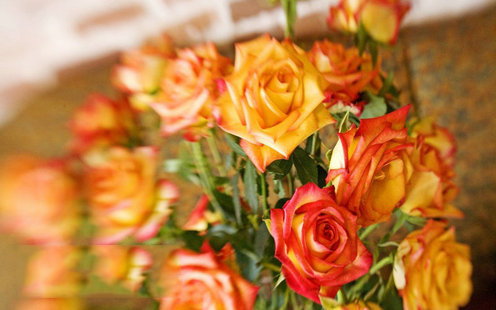 天宝国际酒店婚宴预订