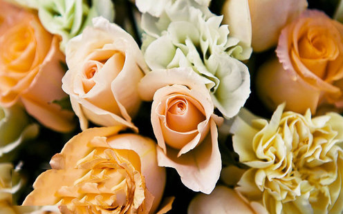 天时利御面婚宴预订