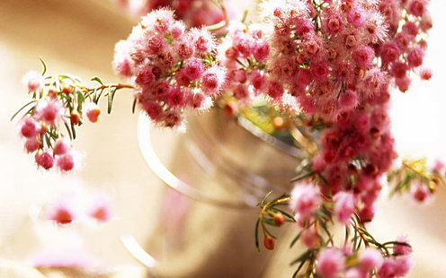 狗不理（隆昌路店）婚宴预订