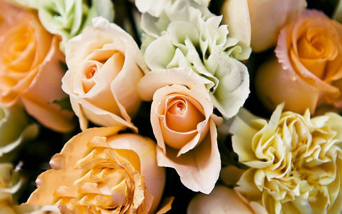 金皇大酒店婚宴预订