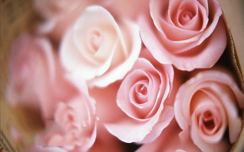 政协俱乐部婚宴预订