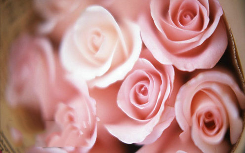 萨拉伯尔婚宴预订