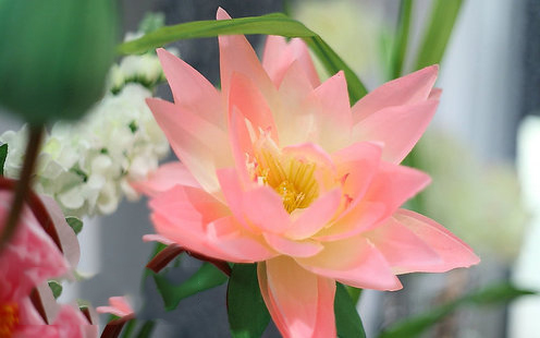 陶源酒家（金光华店）婚宴预订