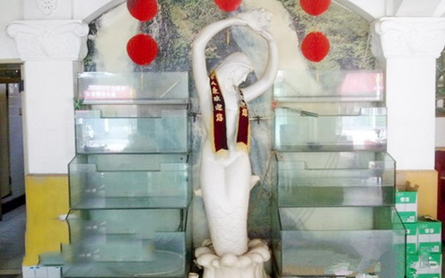 美人鱼食府婚宴预订