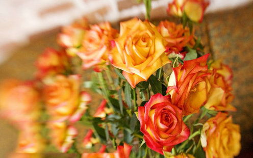 金紫银海鲜（顺义店）婚宴预订