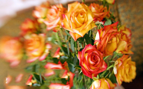 成都瑞熙城市酒店（科华路店）婚宴预订