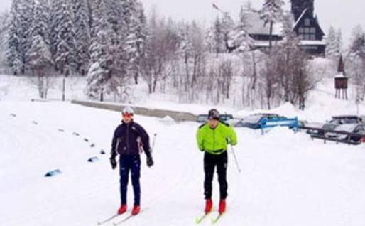 夏季蜜月旅行就去国外南半球避暑