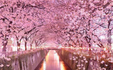 蜜月旅行有哪些对中国免签证国家