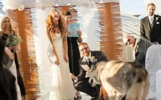 创意户外婚礼游戏让现场hi起来