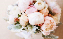 抢到手捧花新人祝福语怎么说好