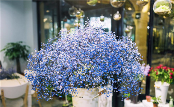 结婚手捧花 满天星手捧花如何搭配-蜜匠婚礼