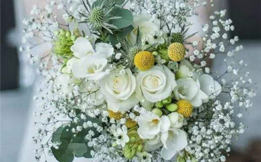 手捧花搭配 满天星手捧花如何搭配