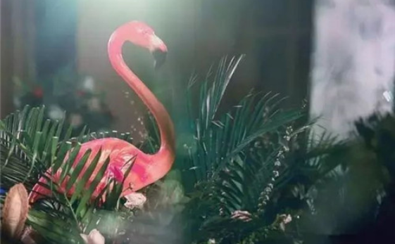 火烈鸟主题婚礼布置 火烈鸟婚礼布置图