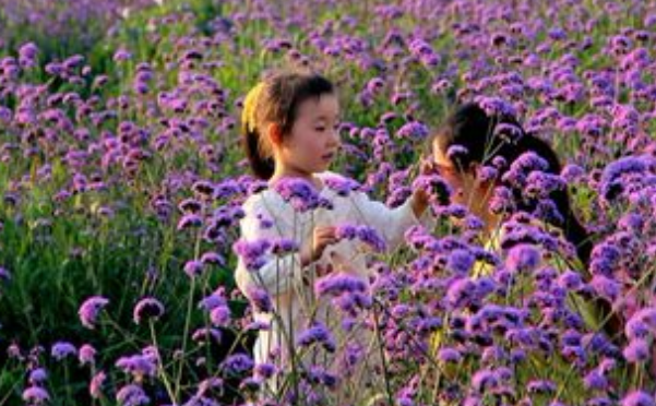 婚检有什么项目 婚前检查收费吗