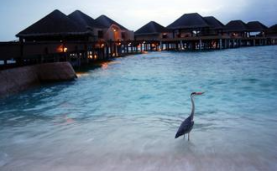 国内适合情侣去的地方 国内蜜月之旅攻略