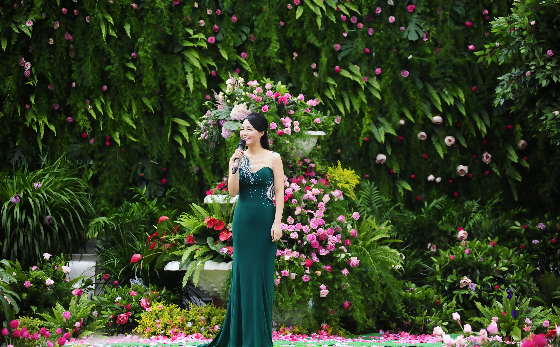 男女双人婚礼主持词 婚礼答谢宴双人组合主持词