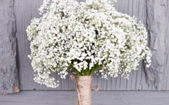 新娘结婚手捧花的讲究 新娘手捧花创意方式