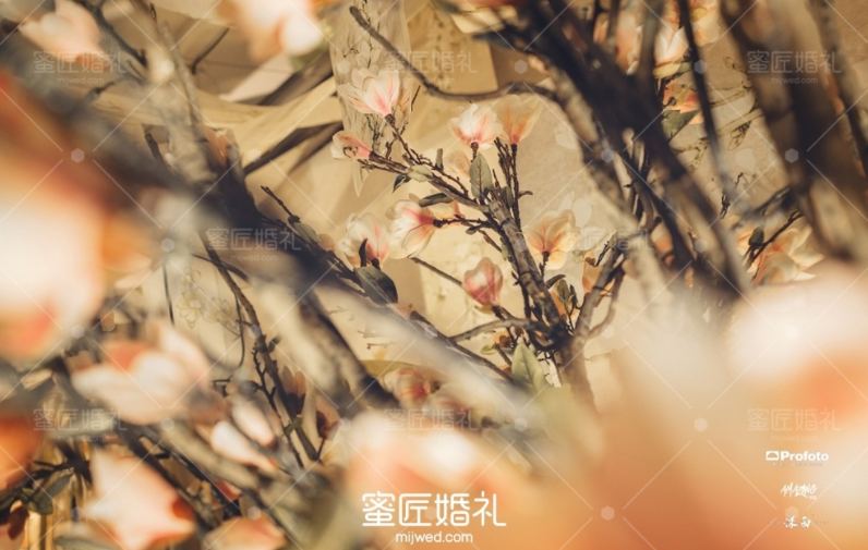 婚礼的互动游戏 西式婚礼互动游戏