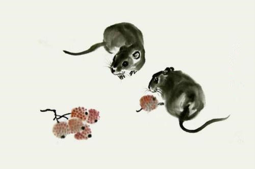 属鼠男分手后的表现 属鼠男的软肋