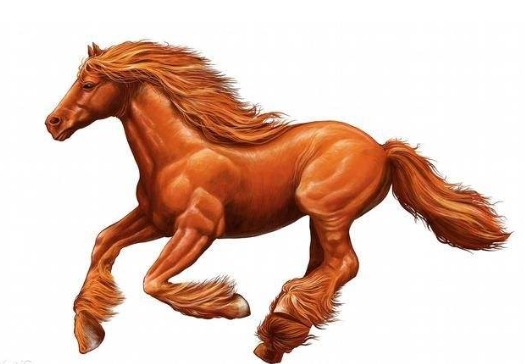 属马适合结婚的对象 属马的多大结婚好