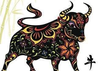 属牛的婚姻 婚配属相表