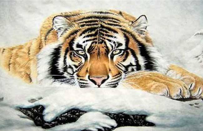 有富贵命的生肖 旺夫旺己的生肖女