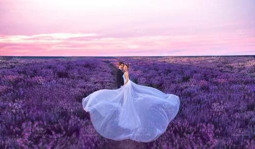 普罗旺斯拍婚纱照多少钱 法国普罗旺斯薰衣草几月开