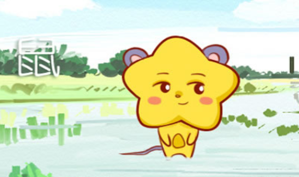 属鼠的属相婚配表