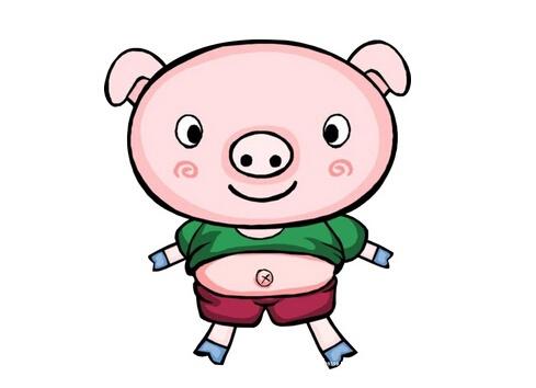 男女都是属猪结婚好吗 男女都属猪适合结婚吗