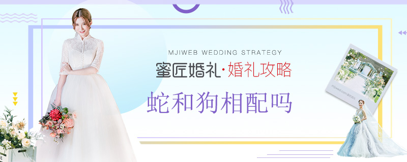 蛇和狗相配吗 属狗和属蛇的配吗