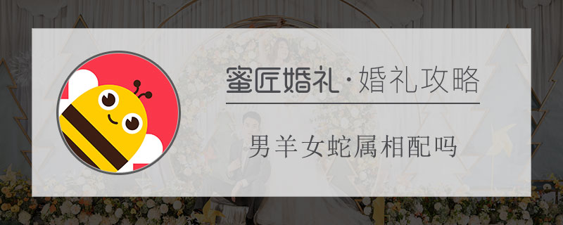 男羊女蛇属相配吗