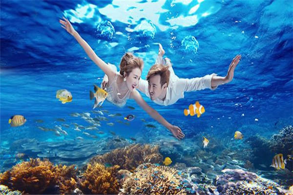 女生对男生表白的话术