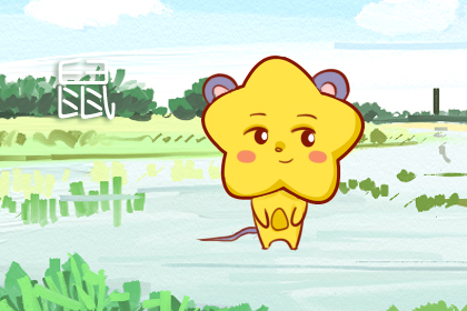 女鼠男鸡的婚姻怎么样