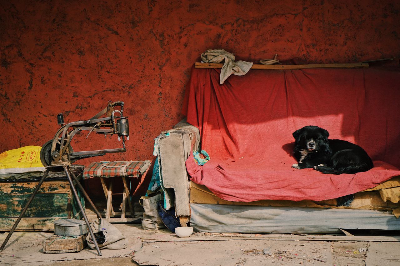 女的婚戒戴哪只手