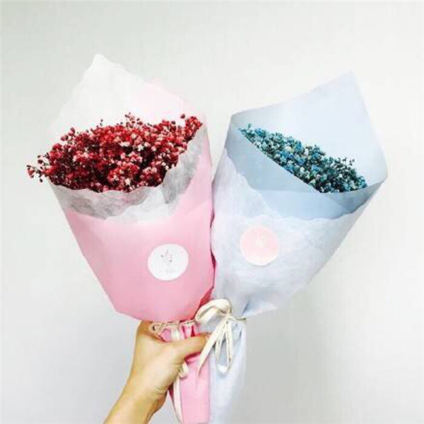  一小捧满天星多少钱