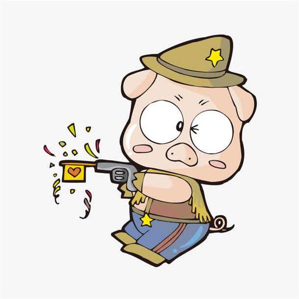 2019年属猪是什么命