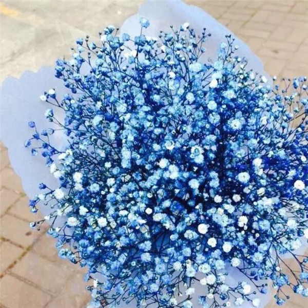 新娘手捧花满天星好么