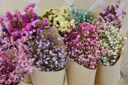 满天星适合送什么人