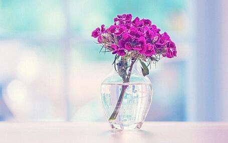 结婚证丢失了一本怎么补办