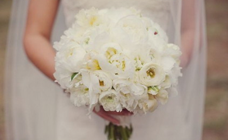 手捧花19朵代表什么