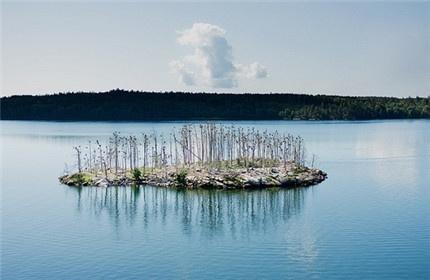 一句表白的话打动男生