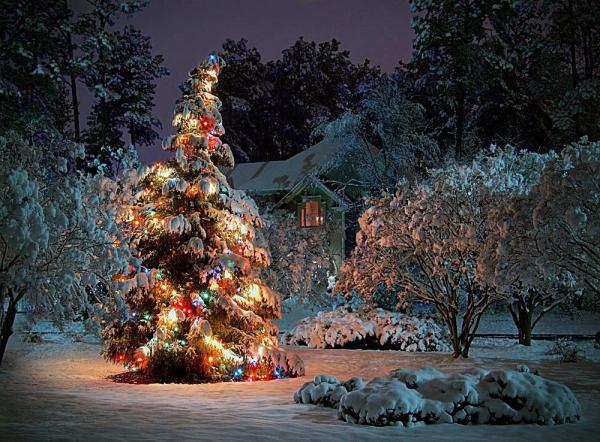 平安夜是几月几日日 2021平安夜是几月几日日