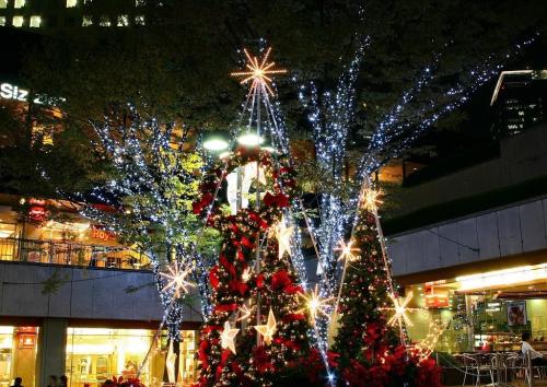 圣诞节手抄报简单的 圣诞节手抄报怎么做