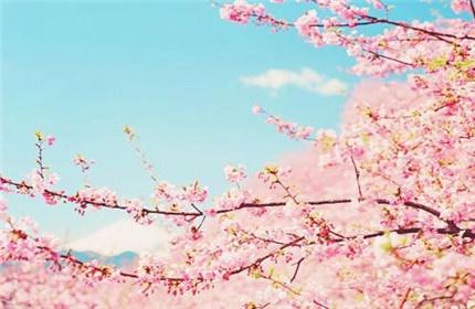 什么歌曲好唱又不跑调