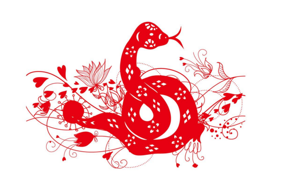 属龙的和属蛇的相配吗