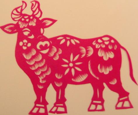 85属牛女的一生婚姻